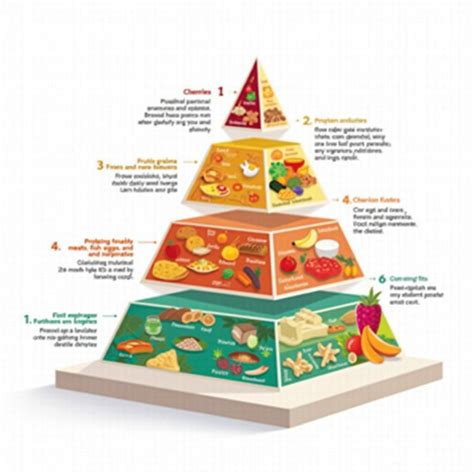 The Vital Role of Food Science and Nutrition in Modern Health and Well-being