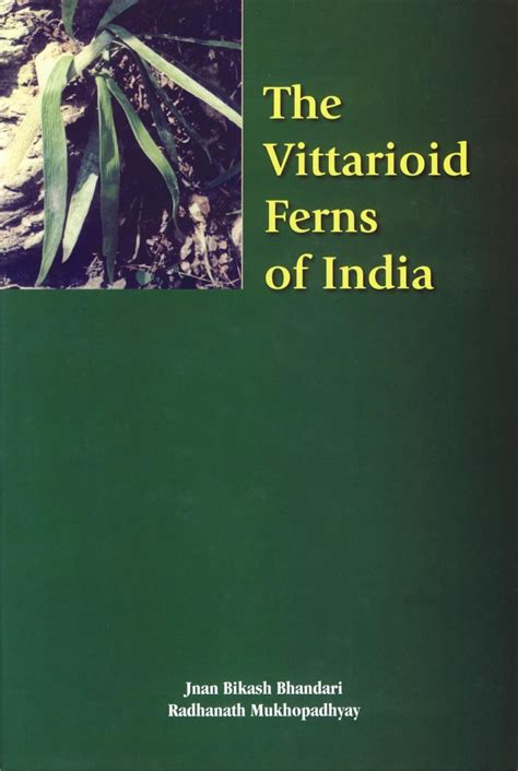 The Vittarioid Ferns of India Kindle Editon