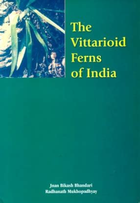 The Vittarioid Ferns of India Kindle Editon