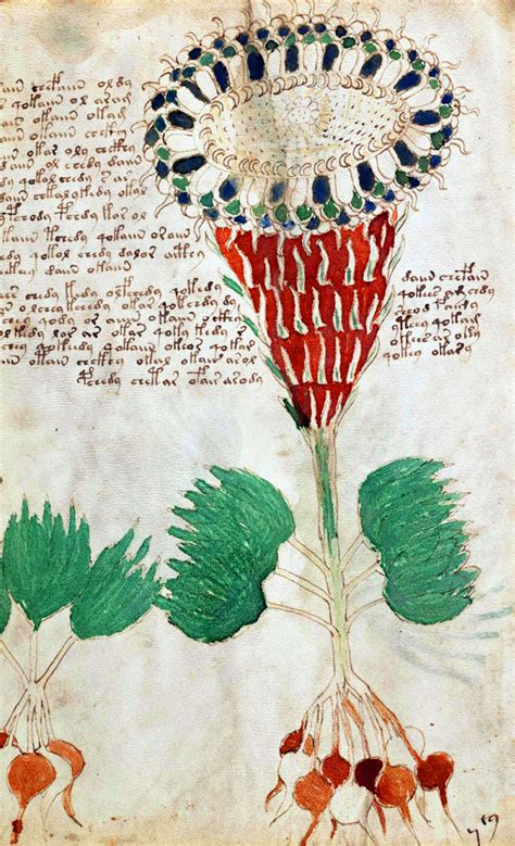 The Voynich Manuscript PDF