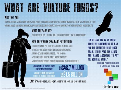 The Vulture Fund PDF