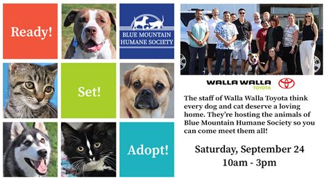 The Walla Walla Humane Society: Your Local Partner for Animal Care and Welfare