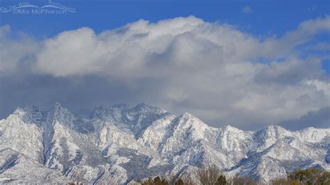 The Warmth of the Wasatch