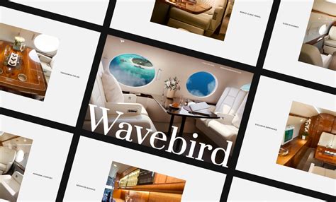 The Wavebird's Innovative Design