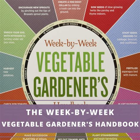 The Week-by-Week Vegetable Gardener s Handbook Make the Most of Your Growing Season Doc