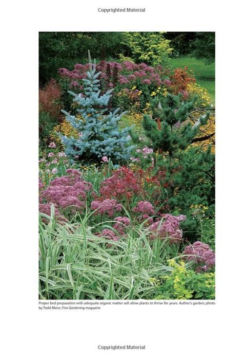 The Well-Tended Perennial Garden Planting & Pruning Techniques Expanded Edition PDF