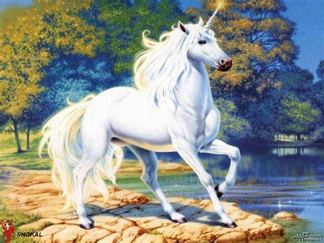 The White Unicorn Epub