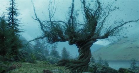 The Whomping Willow in Hogwarts Legacy: An Immersive and Treacherous Encounter