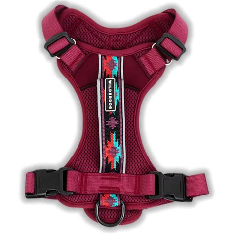 The Wilderdog Harness: A Superior Choice