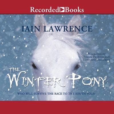 The Winter Pony