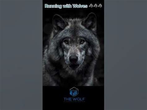 The Wolf Stock: A Guide to Investing in Wolves