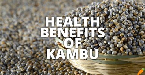 The Wonder Grain: Kambu and Its Abundance of Health Benefits