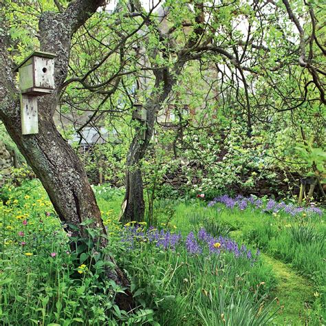 The Woodland Garden: