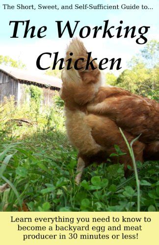 The Working Chicken Learn everything you need to know to become a backyard egg and meat producer in 30 minutes or less Doc