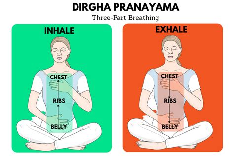 The Yoga of Breath A Step-by-Step Guide to Pranayama PDF