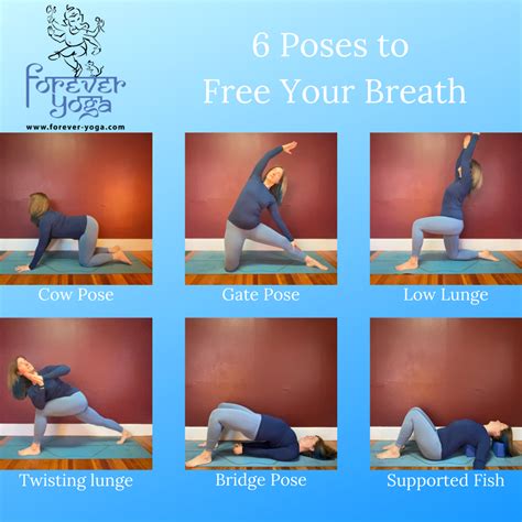 The Yoga of Breath A Step-by-Step Guide to Pranayama0310702992 Epub