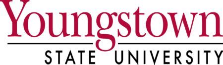 The Youngstown State University Logo: A Visual Representation of Identity