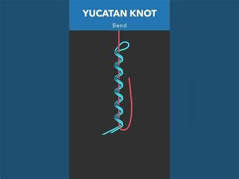 The Yucatan Knot: An Essential Guide