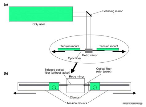 The development of optical nanosensors for biological measurements PDF Book Reader