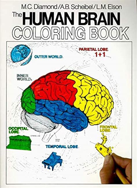 The human brain coloring book Ebook PDF