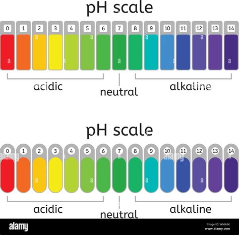 The pH Scale: A Measure of Acidity