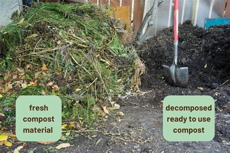 The size of the compost pile.