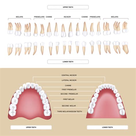 The size of the dent: