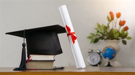 The student's major: