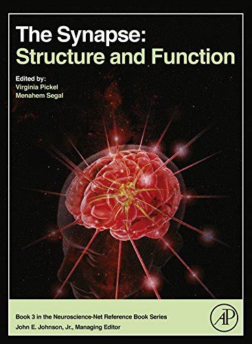 The.Synapse.Structure.and.Function Ebook Reader