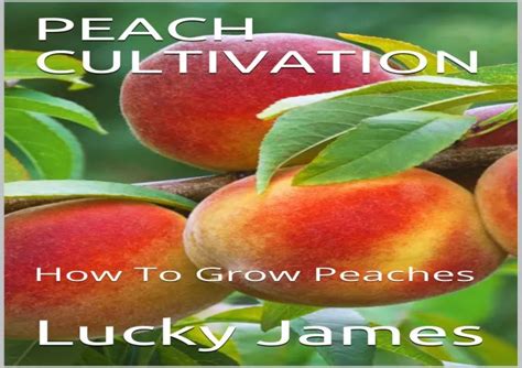 ThePeachQueen: A Comprehensive Guide to the Emerging Field of Peach Cultivation