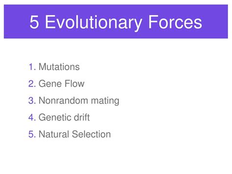 Thememe: The Evolutionary Force Behind Success