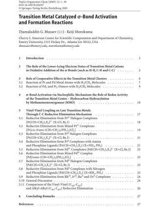 Theoretical Aspects of Transition Metal Catalysis 1st Edition Kindle Editon