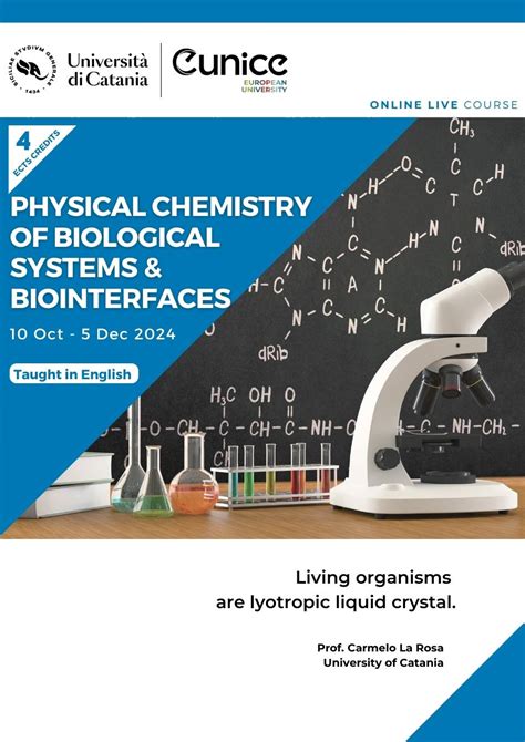 Theoretical Chemistry of Biological Systems Reader