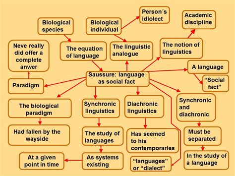 Theory of Linguistics Reader