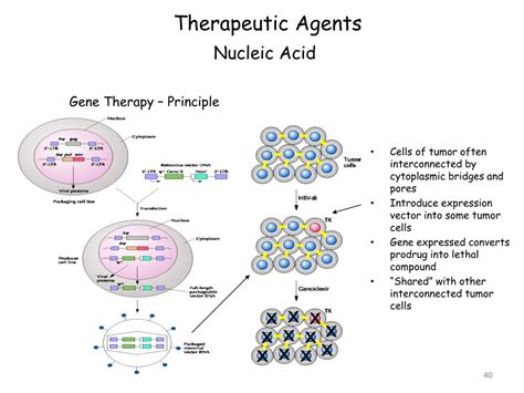 Therapeutic Agents Kindle Editon