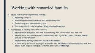 Therapy with Remarriage Families The Family therapy collections Epub