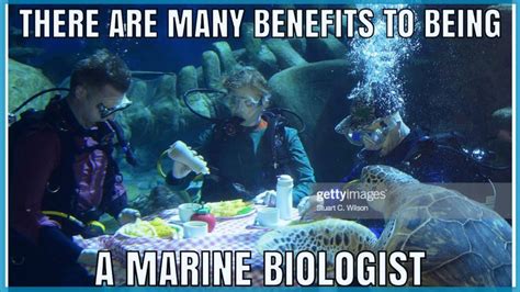 There Are Many Benefits to Being a Marine Biologist