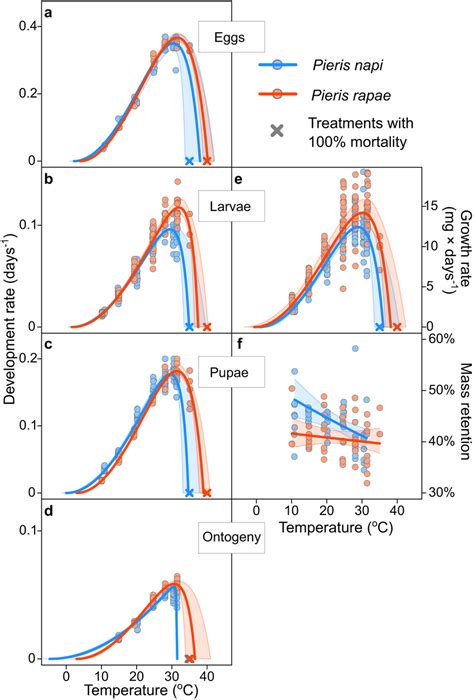 Thermal Effects on Eggs Doc