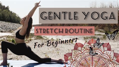 Thestrechmaster: Unlock Your Body's Potential and Transform Your Life