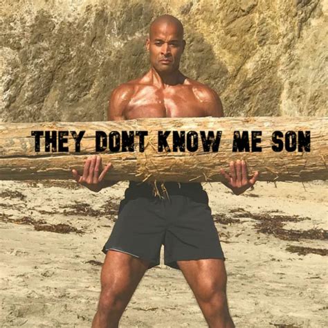 They Don't Know Me, Son: A Comprehensive Exploration