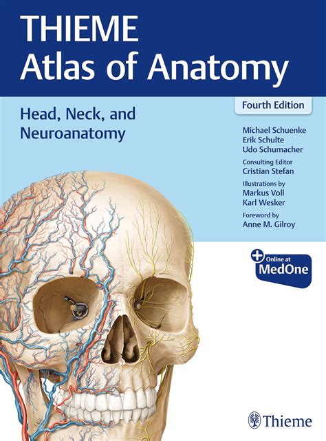 Thieme  Atlas of Anatomy Image Collection-Head and Neuroanatomy 1st Edition Kindle Editon