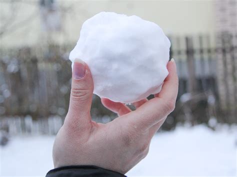 Things Snowball PDF