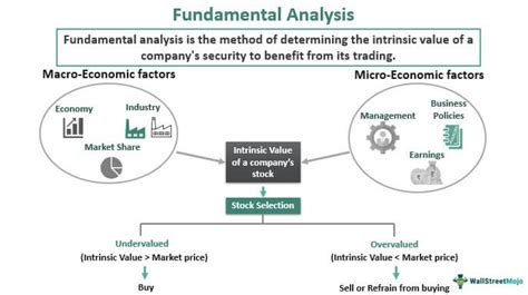 Thorough Fundamental Analysis: