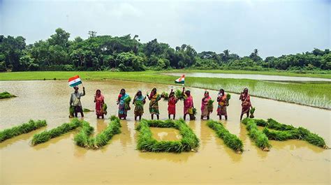 Thotayanna: The Unsung Farmers of Kerala