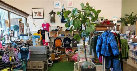 Thrift Stores Santa Fe: 7 Must-Visit Treasures for Vintage Lovers