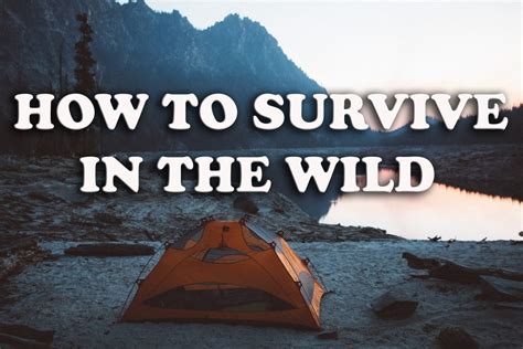 Thrive and Survive in the Modern Wilderness: