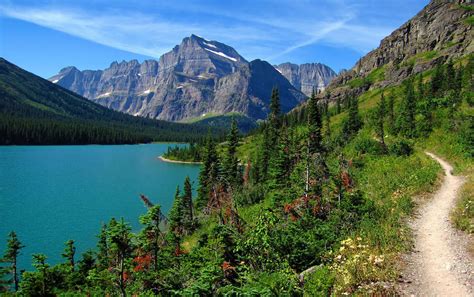 Through Glacier Park Epub