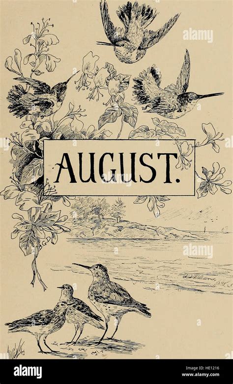 Through the Year With Birds and Poets Classic Reprint PDF