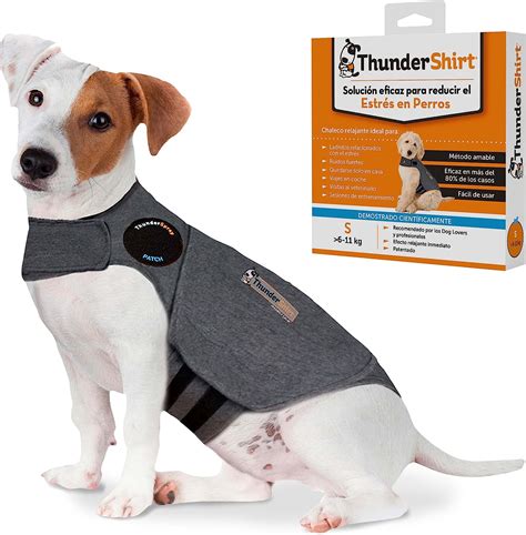 Thunder Shirt for Dogs: A Comprehensive Guide to Calming Anxiety in Canines