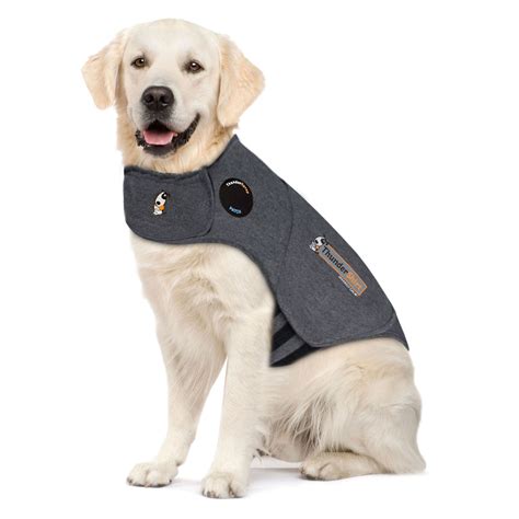 Thundershirt for Dogs: The Ultimate Guide